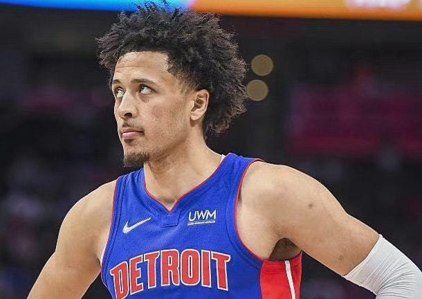 的决心与野 的决心与野